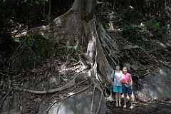 0833 Crystal Cascades